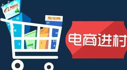 农民信息素养与农业电子商务发展研究