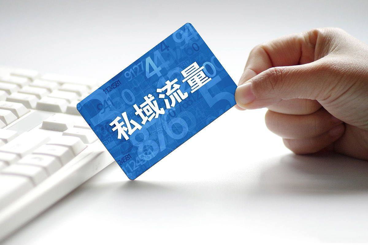 私域新模式